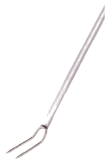 Forchettone inox eco-line 2/denti cm 50 - COIX3369E-250
