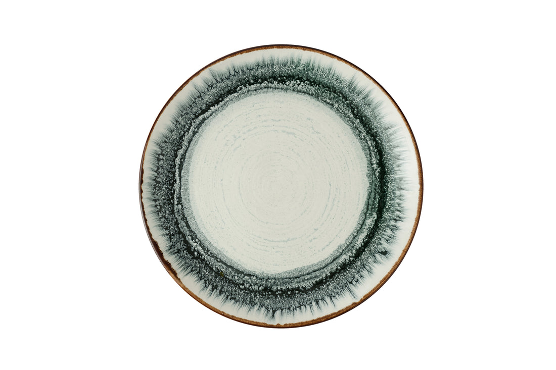 Harvest Flare Natural Evolve Piatto Coupe 11.25" Box 12 - FLNAEV111