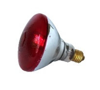 Horecatech SP1755 - Lampadina luce rossa