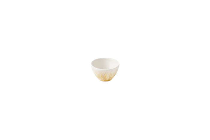 Tide Gold Contour Coppetta 2Oz Box 12 - TDGDBSD21