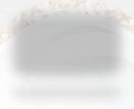 ANTIQUA-BASE GOURMET RETTANGOLARE CM.18X11