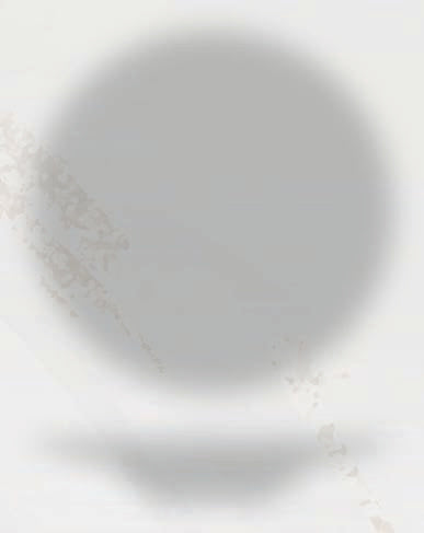ARTIKA - PIATTO PASTA BOWL CM 23