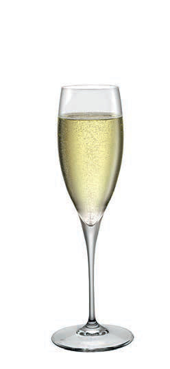PREMIUM-CF.6 CALICI CL 25 NR. 3 CHAMPAGNE