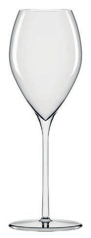 STARLIGHT - FLUT CHAMPAGNE CL.29 H.24 2450029