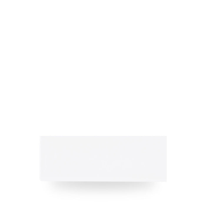 White Piatto Rettangolare 25X9Cm Box 6 - WH OF231